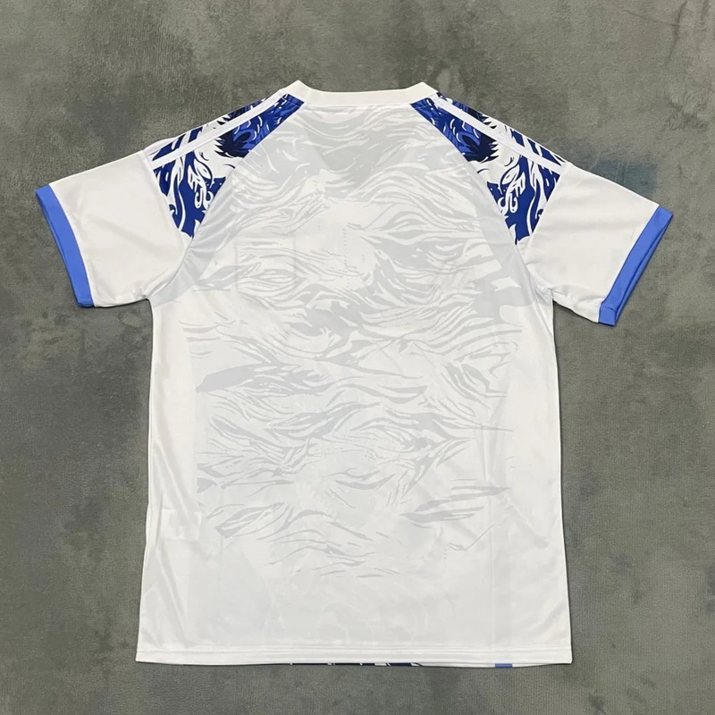 Maillot 25/26 japon Spécial blue dragon q