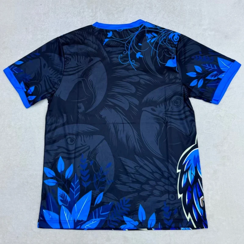 Maillot 25/26 Brésil Spécial blue bird