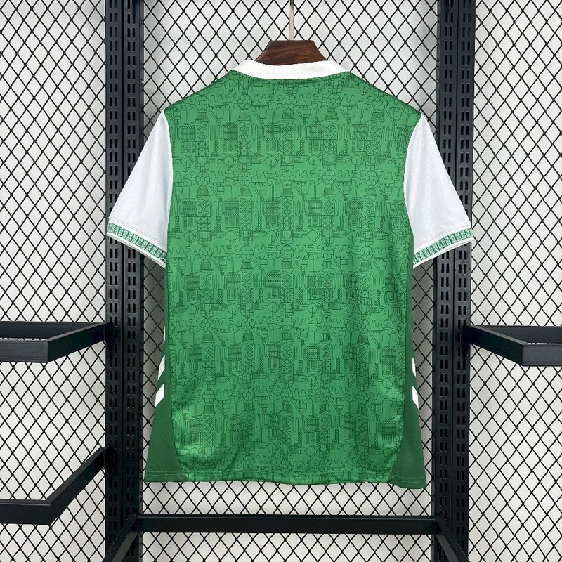 Maillot Domicile AS St-Etienne 2025/26