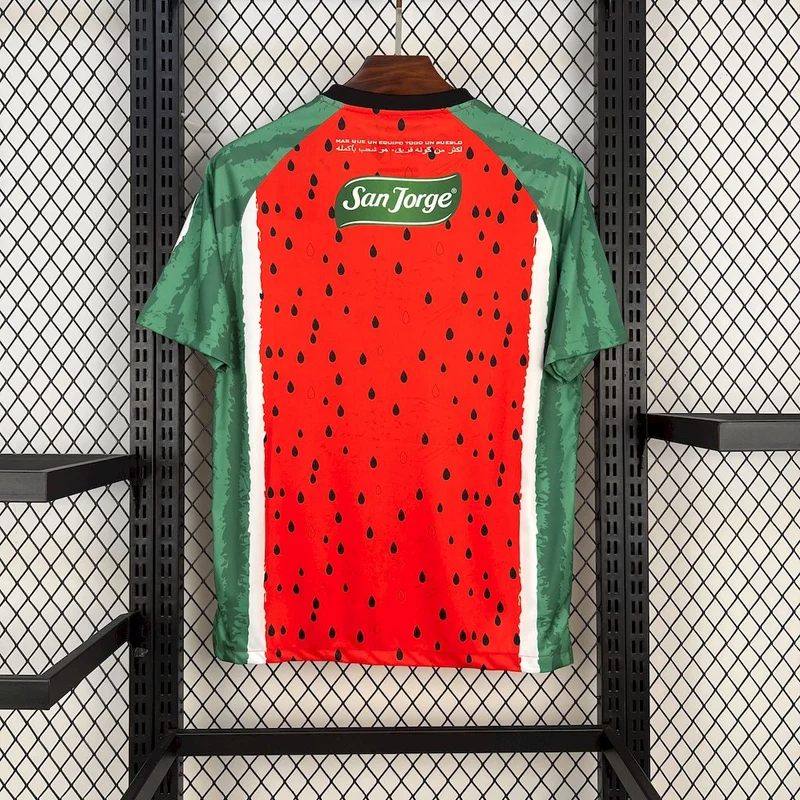Maillot Extérieur CD Palestino 2025/26