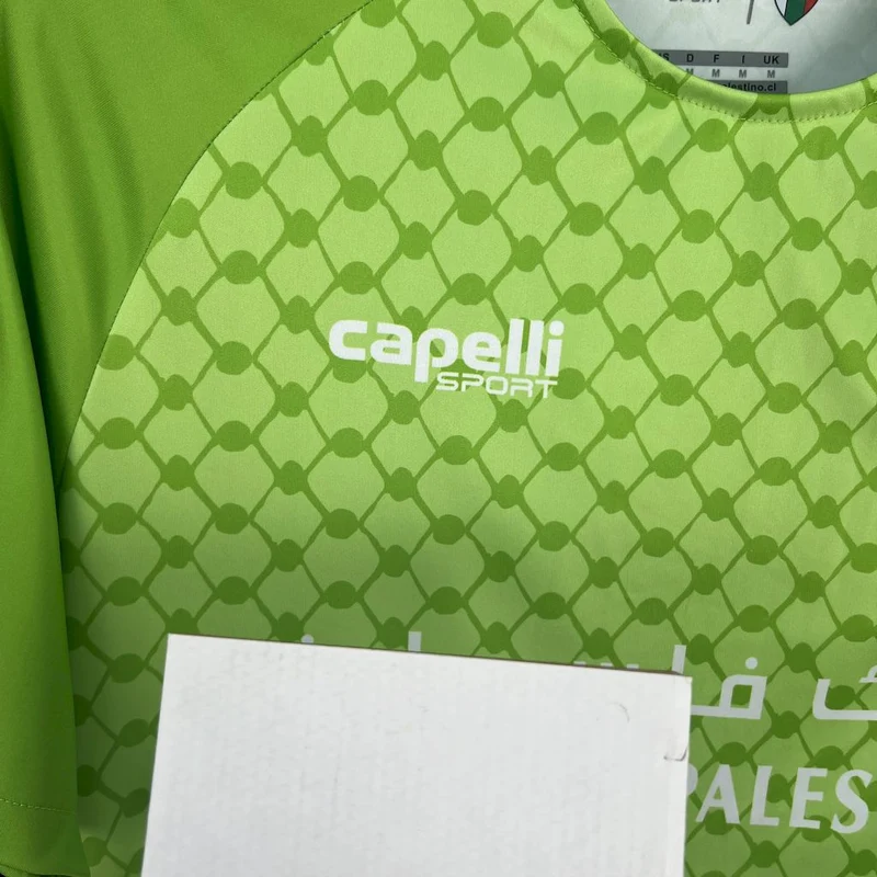 Maillot Vert Clair CD Palestino 2025/26