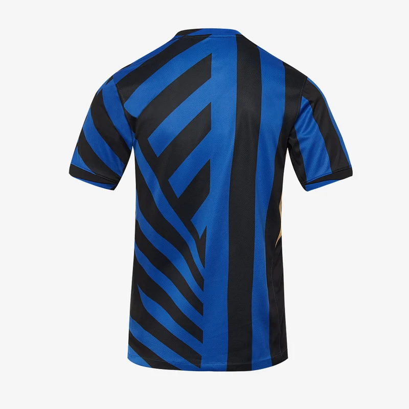 Maillot Domicile Nike Inter Milan 24/25 Dri-FIT Stadium MC