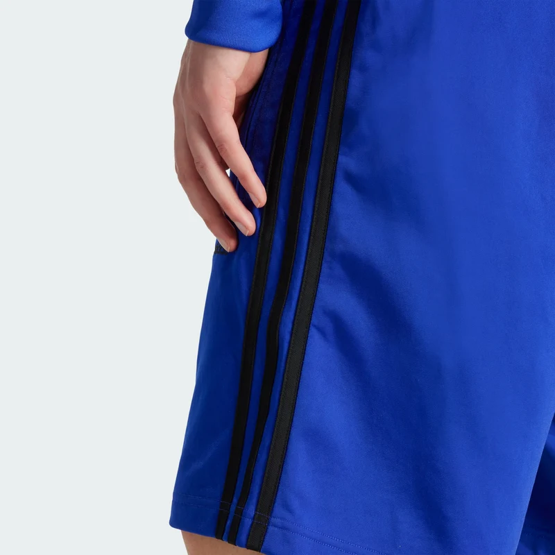adidas Originals Adicolor Firebird Shorts