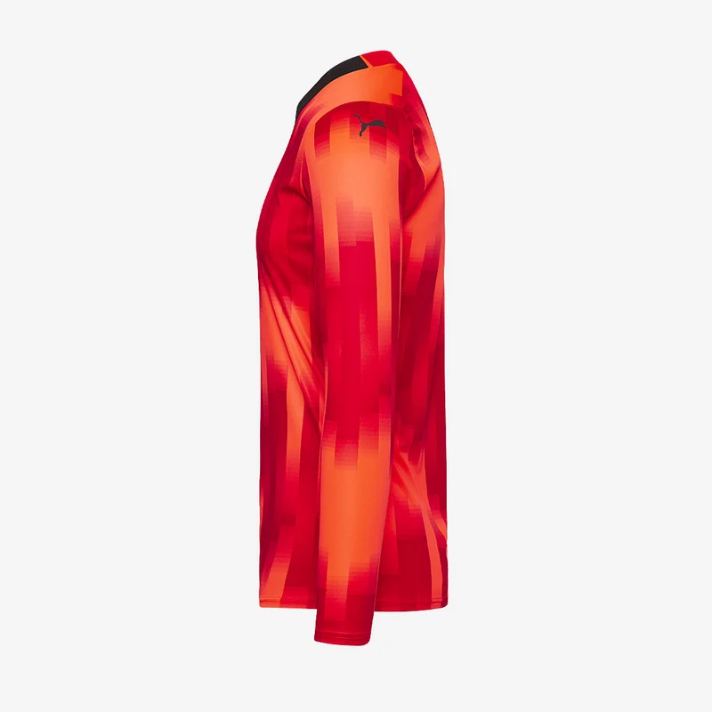 Maillot de Gardien Puma Team Target Manches Longues