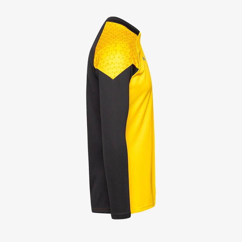 Haut d'Entraînement Puma Team Cup 1/4 Zip