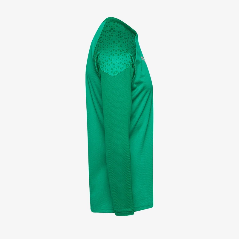 Haut d'Entraînement Puma Team Cup 1/4 Zip