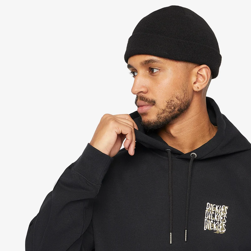 Sweat à Capuche Dickies Creswell