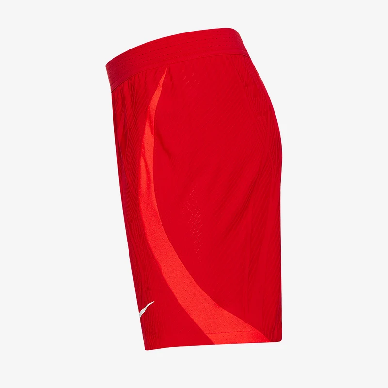 Nike Vaporknit IV Shorts