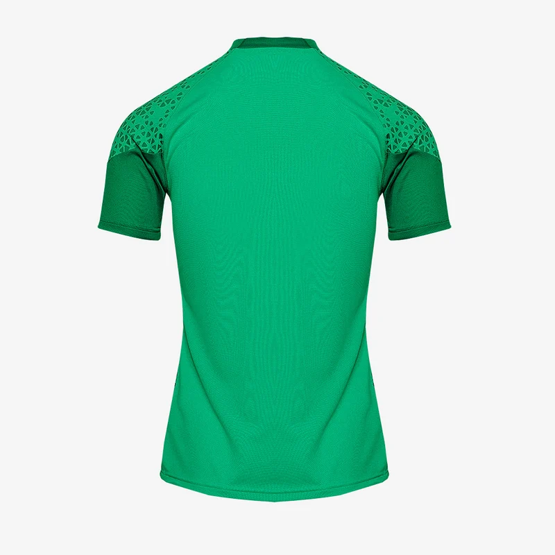 Maillot d'Entraînement Puma Team Cup Manches Courtes