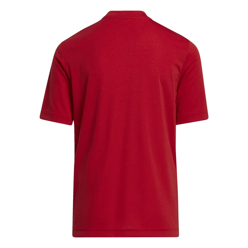 Maillot Manches Courtes adidas Junior Entrada 22 GFX