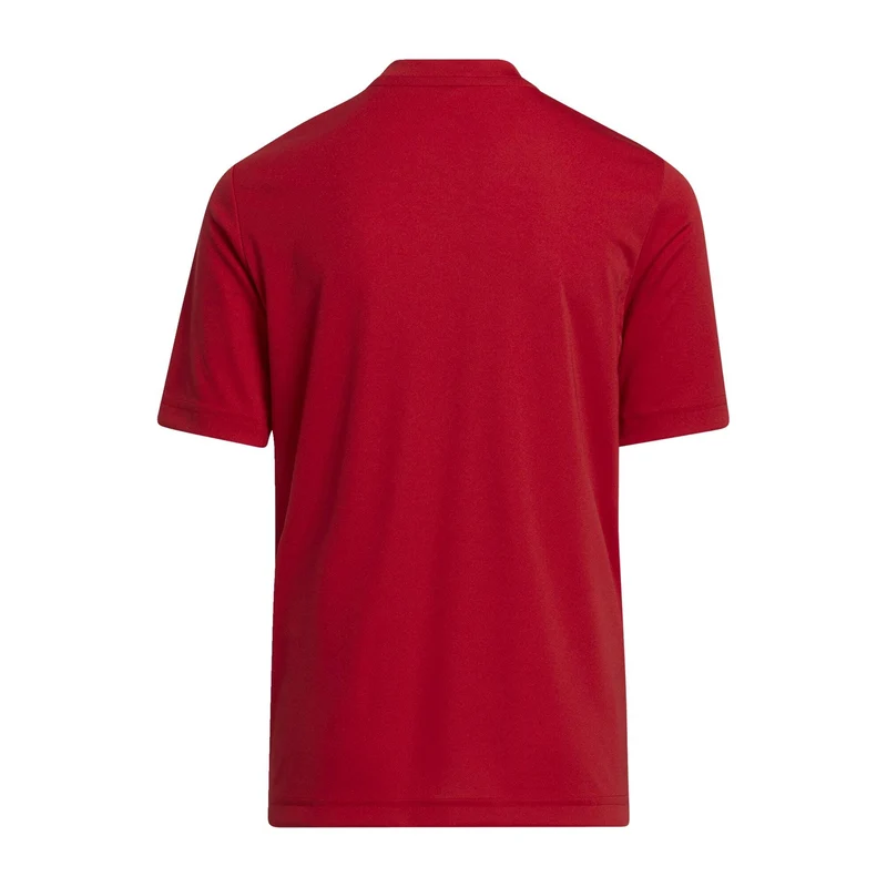 Maillot Manches Courtes adidas Junior Entrada 22 GFX