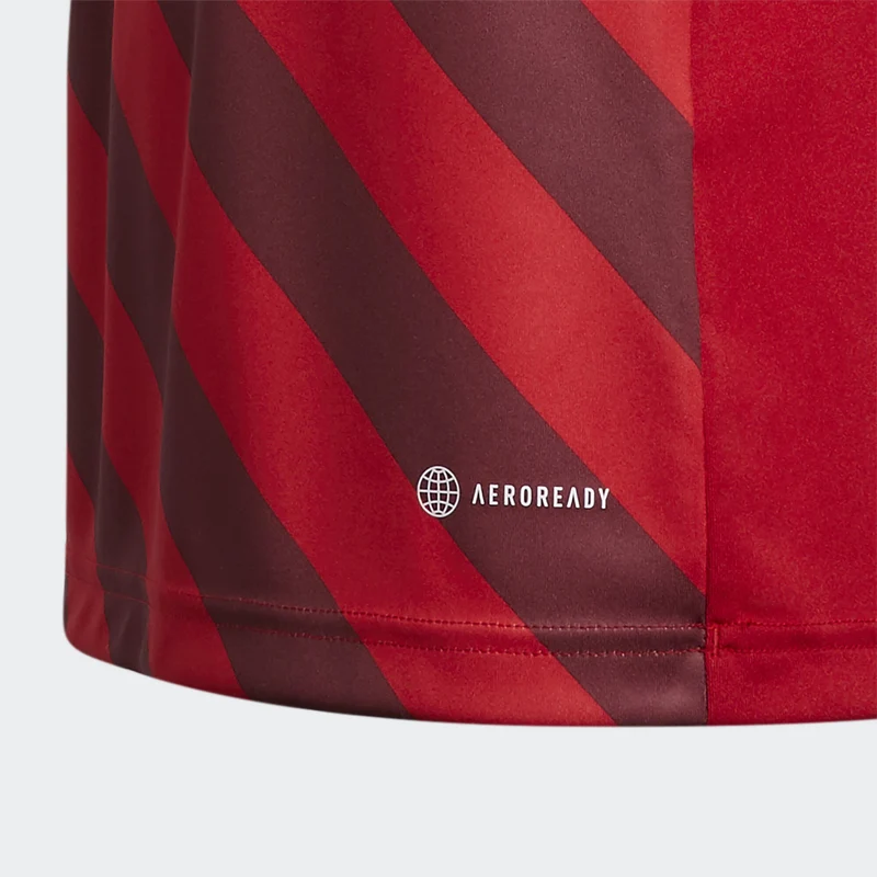 Maillot Manches Courtes adidas Junior Entrada 22 GFX
