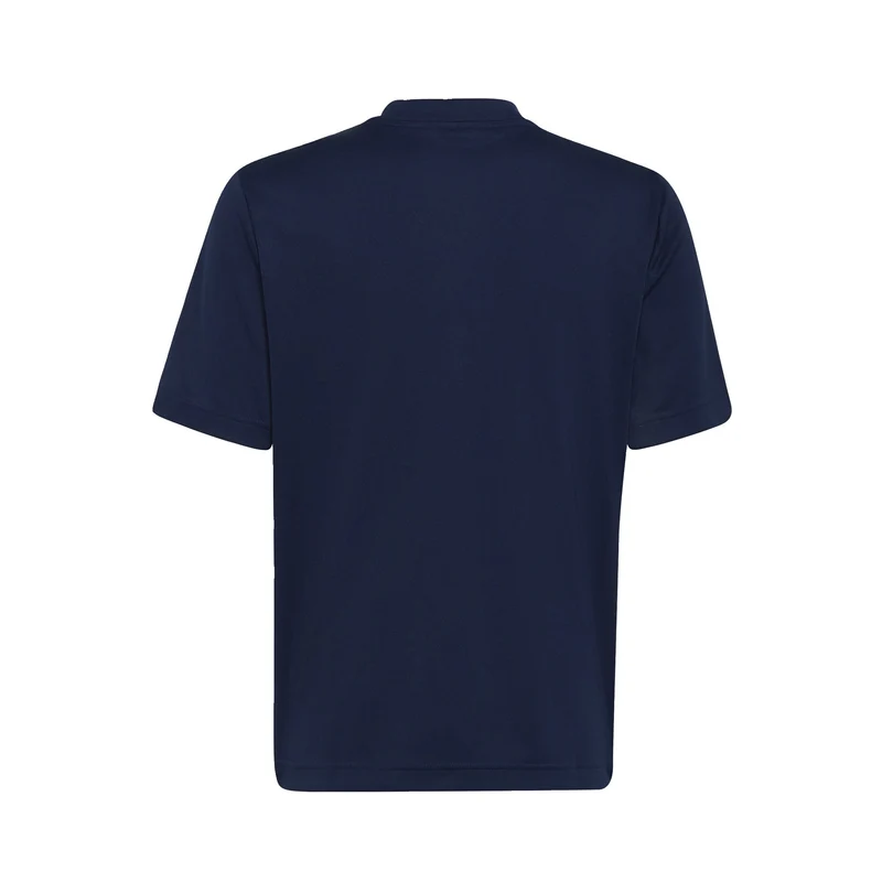 Maillot Manches Courtes adidas Junior Entrada 22 GFX