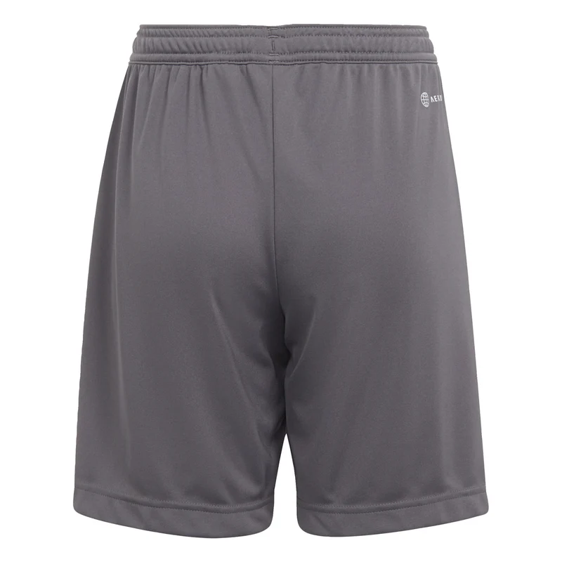 adidas Junior Entrada 22 Shorts