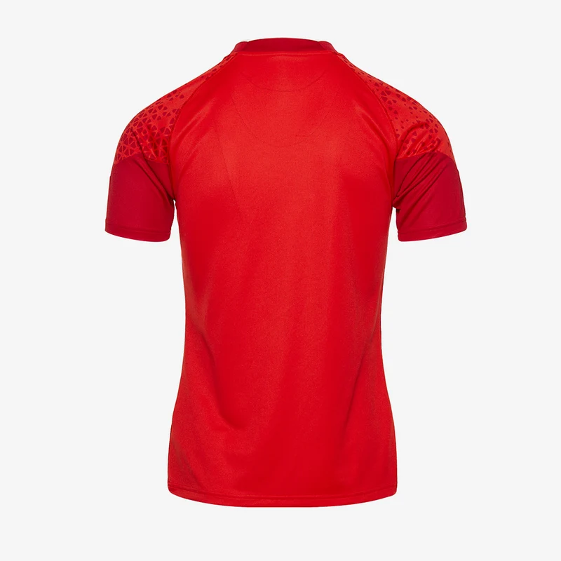 Maillot d'Entraînement Puma Team Cup Manches Courtes