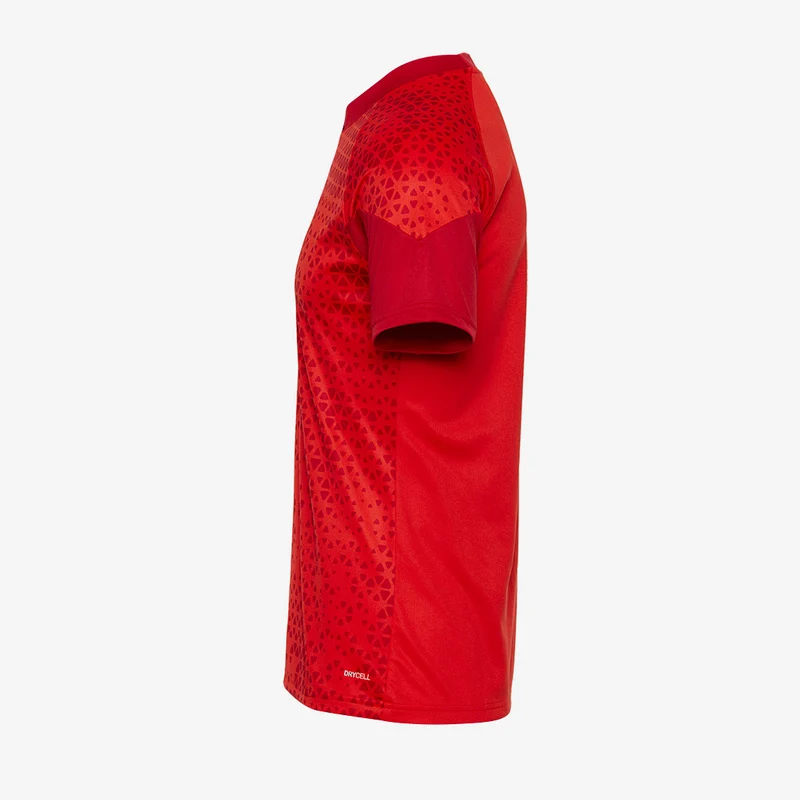 Maillot d'Entraînement Puma Team Cup Manches Courtes