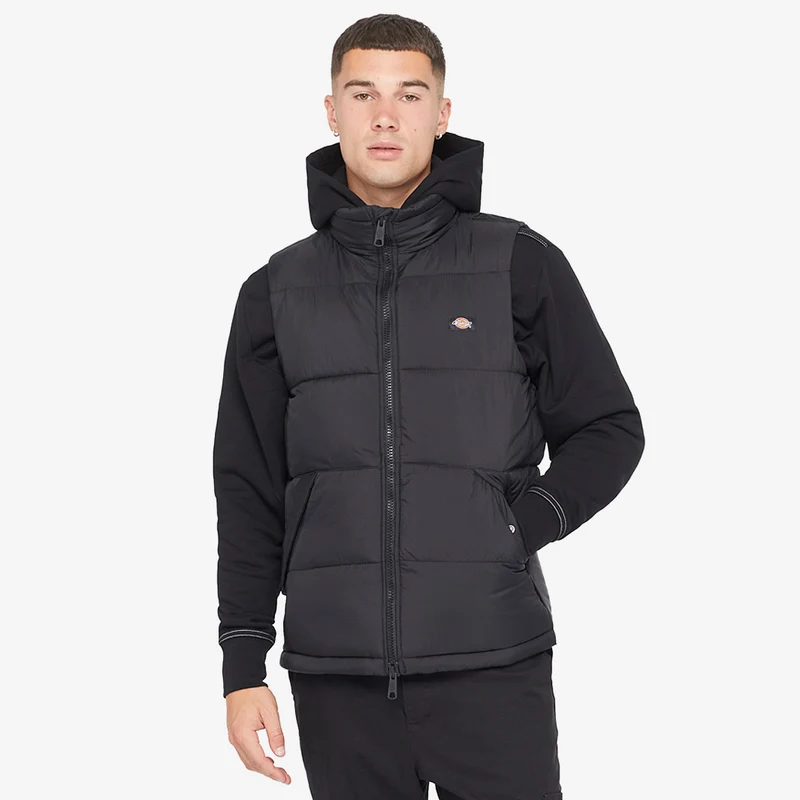 Gilet Dickies Waldenburg