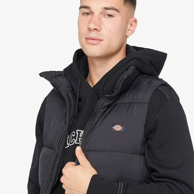 Gilet Dickies Waldenburg