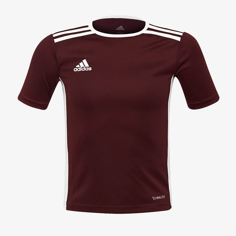 Maillot MC adidas Entrada 18 Enfant