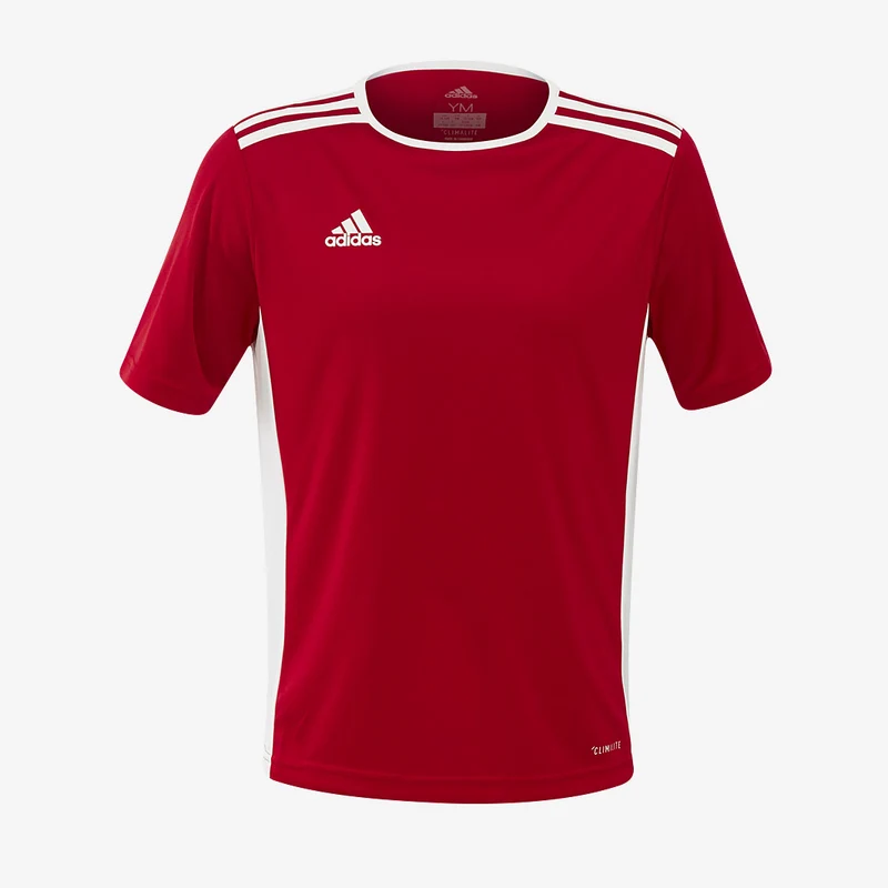 Maillot MC adidas Entrada 18 Enfant