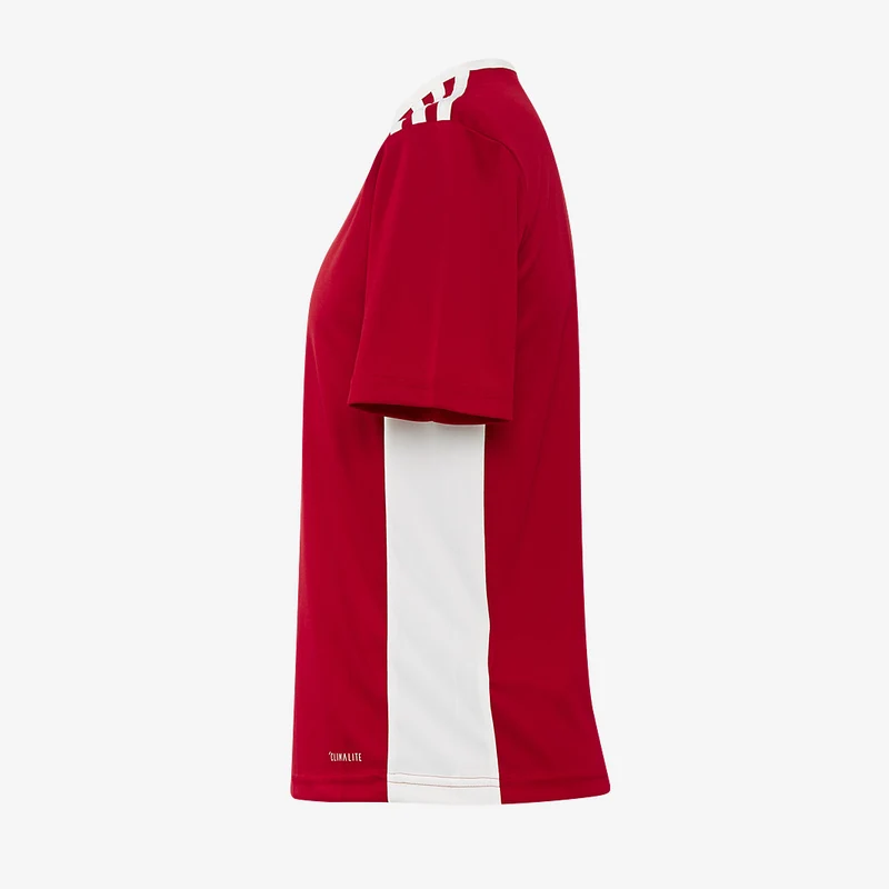 Maillot MC adidas Entrada 18 Enfant