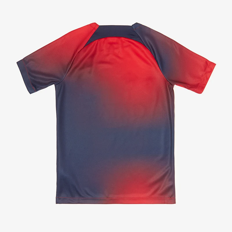 Maillot Domicile Nike Paris Saint-Germain 23/24 Dri-Fit Academy Pre-Match SS pour Enfant
