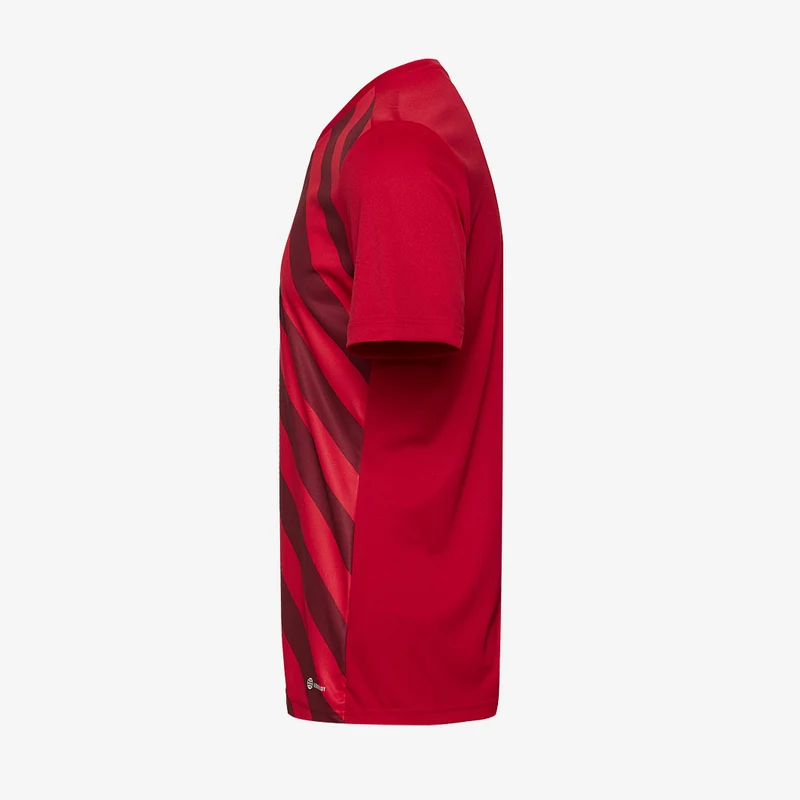 adidas Entrada 22 GFX SS Shirt