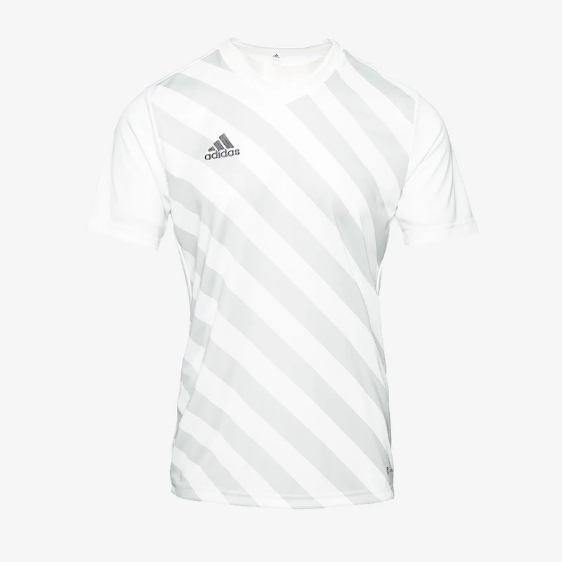 Maillot MC adidas Entrada 22 GFX