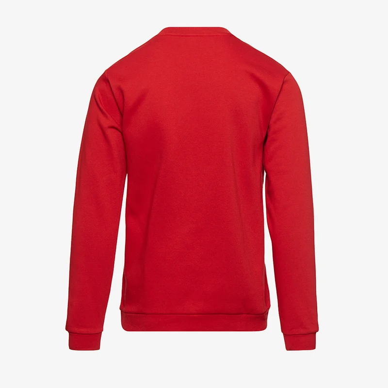 adidas Entrada 22 Sweatshirt