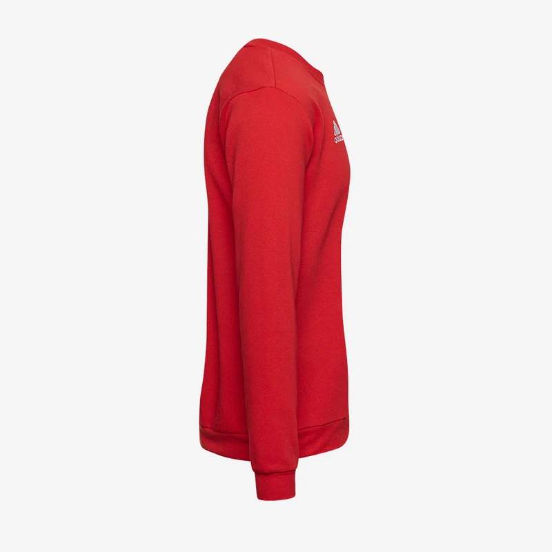 adidas Entrada 22 Sweatshirt