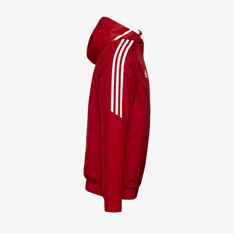 Veste adidas Condivo 22 AW