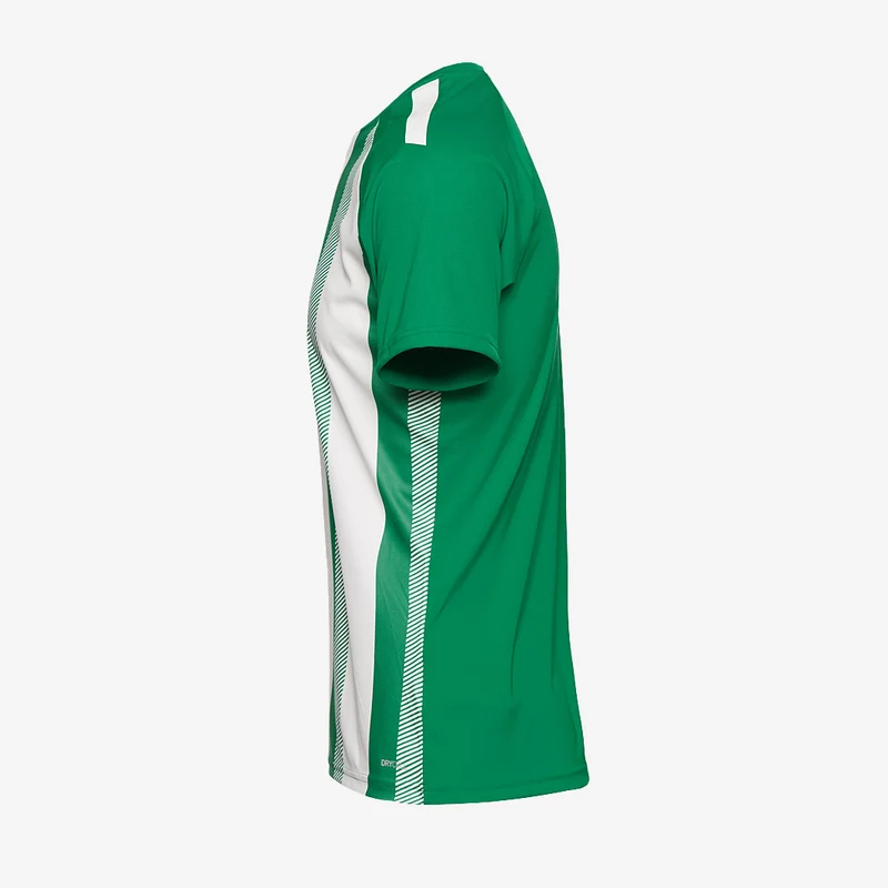 Maillot Puma Team Liga Striped Manches Courtes