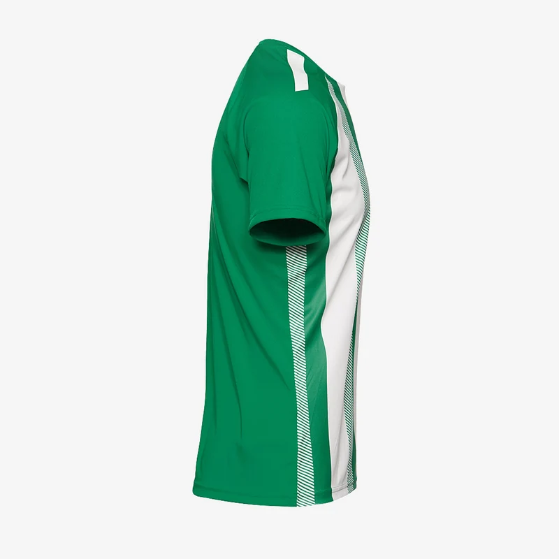 Maillot Puma Team Liga Striped Manches Courtes