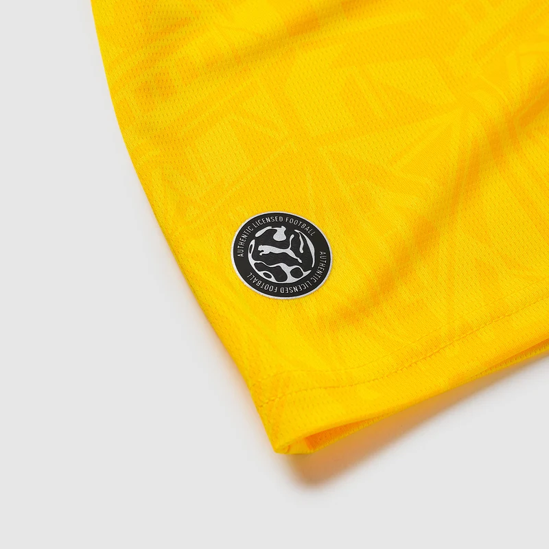 Maillot Domicile Puma Borussia Dortmund 26/27