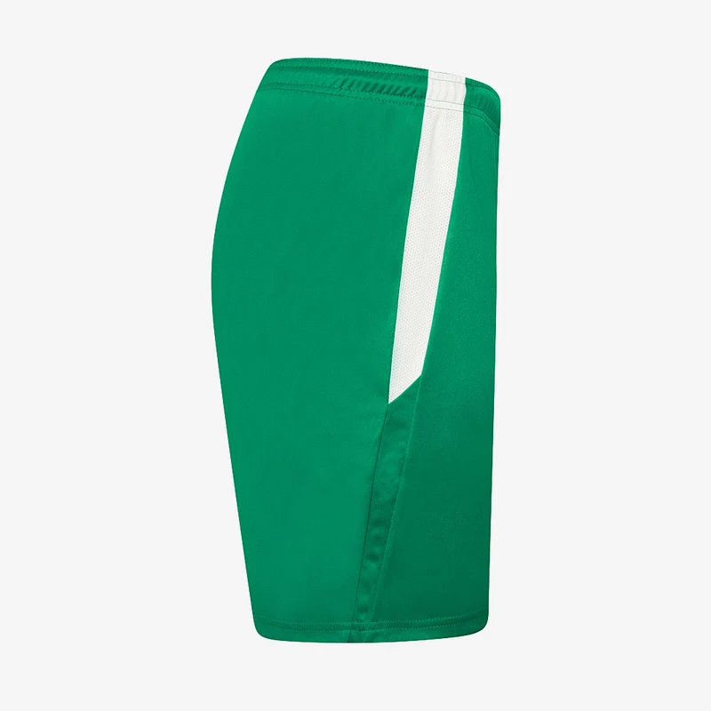 Short Puma Team Liga