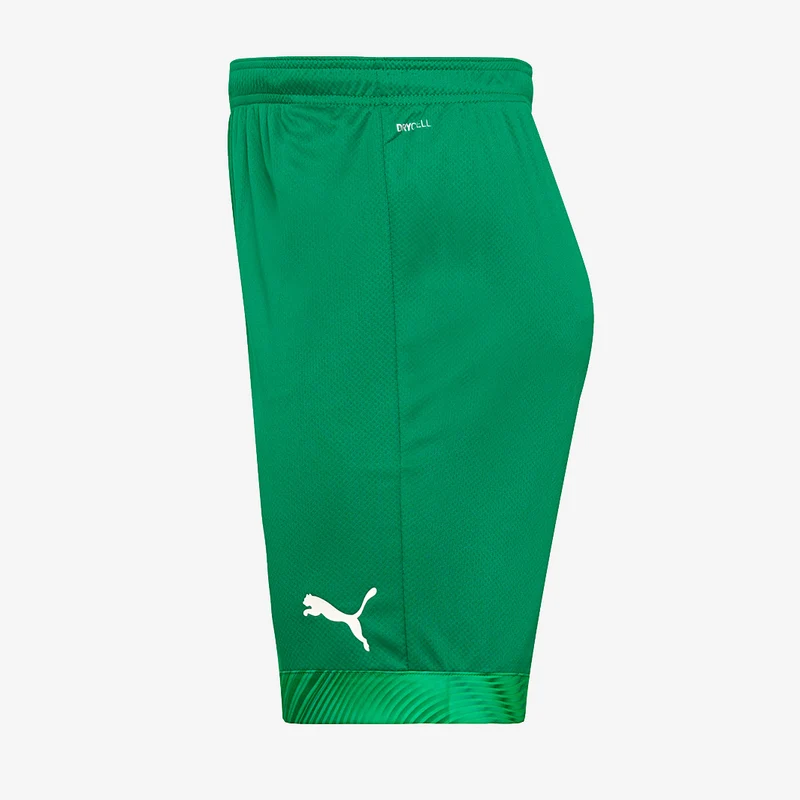 Puma CUP Shorts