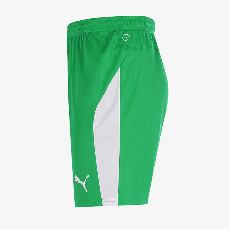 Short Puma Enfant Liga