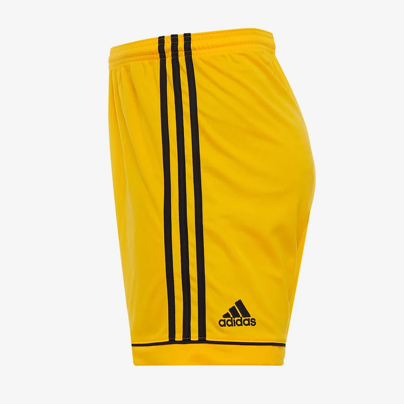 adidas Squadra 17 Shorts