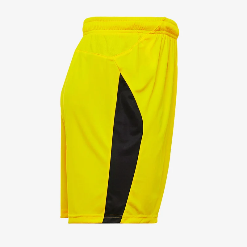 Puma LIGA Shorts