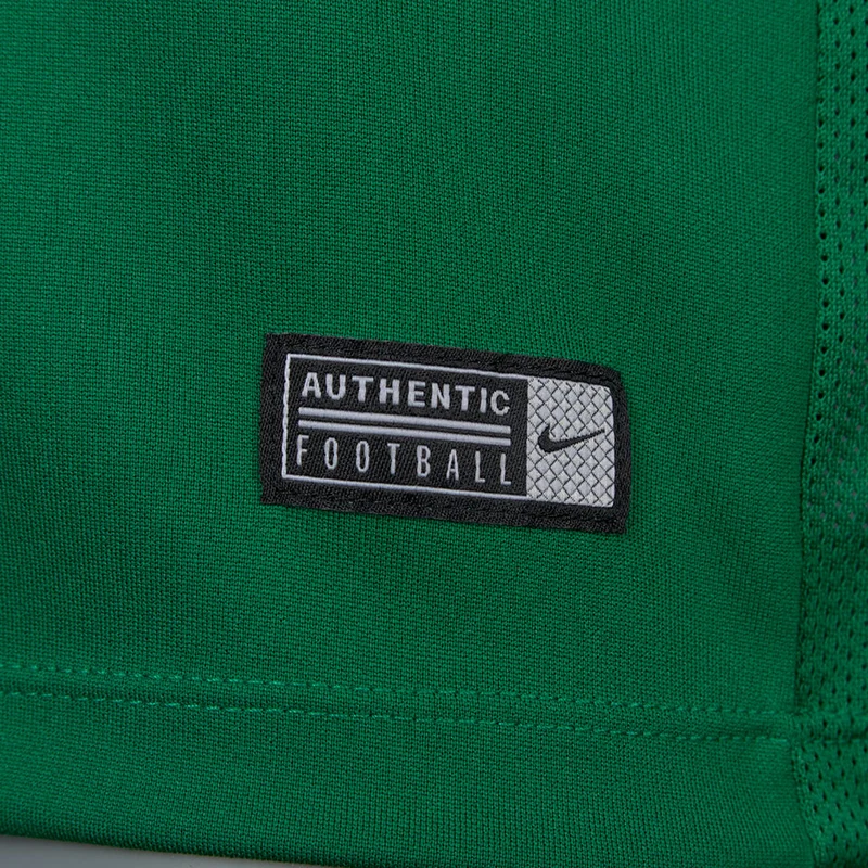 Maillot ML Nike Park VI