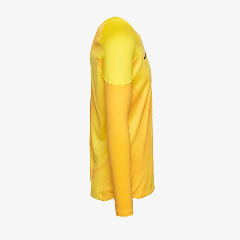 Nike Gardien IV LS GK Shirt