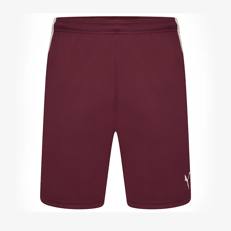 Short Puma Enfant Team Liga