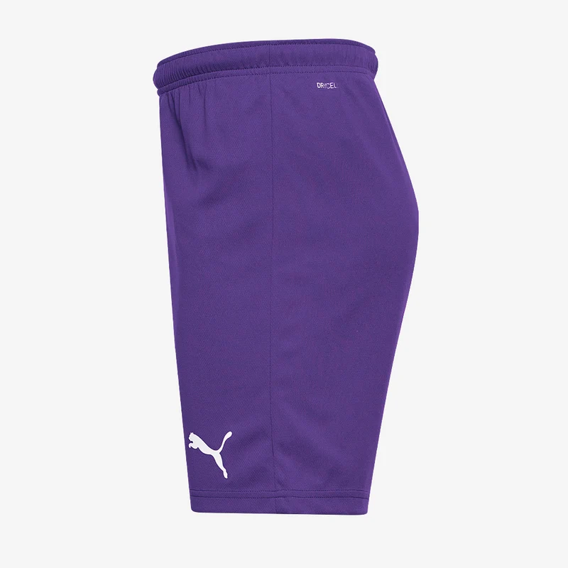 Short Puma Enfant Team Rise