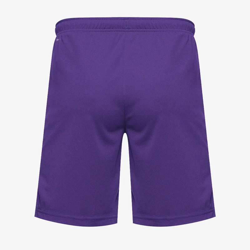 Puma teamRISE Shorts
