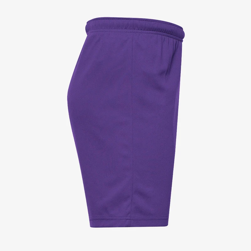 Puma teamRISE Shorts