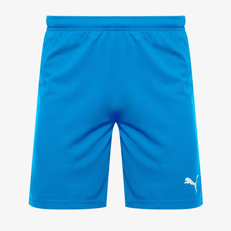Puma teamRISE Shorts