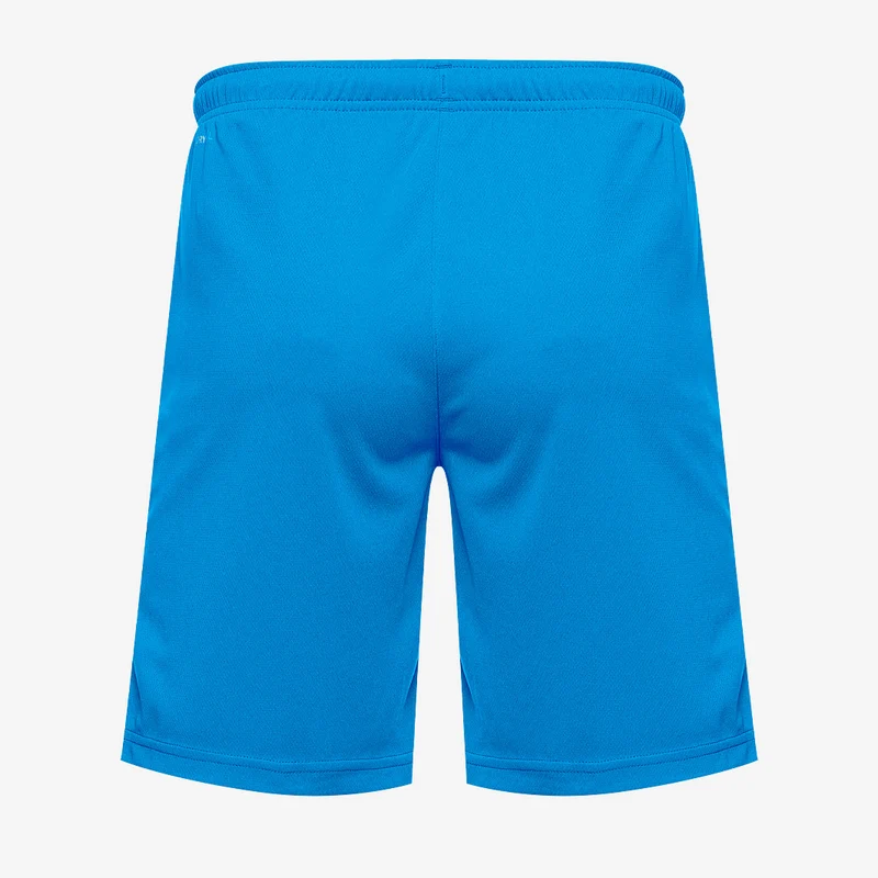 Puma teamRISE Shorts