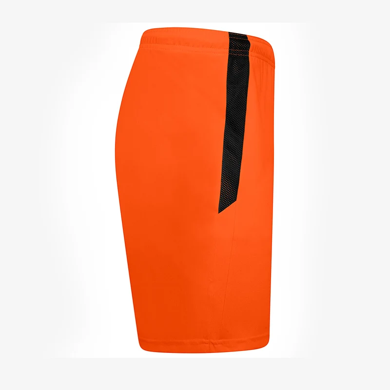 Short Puma Team Liga