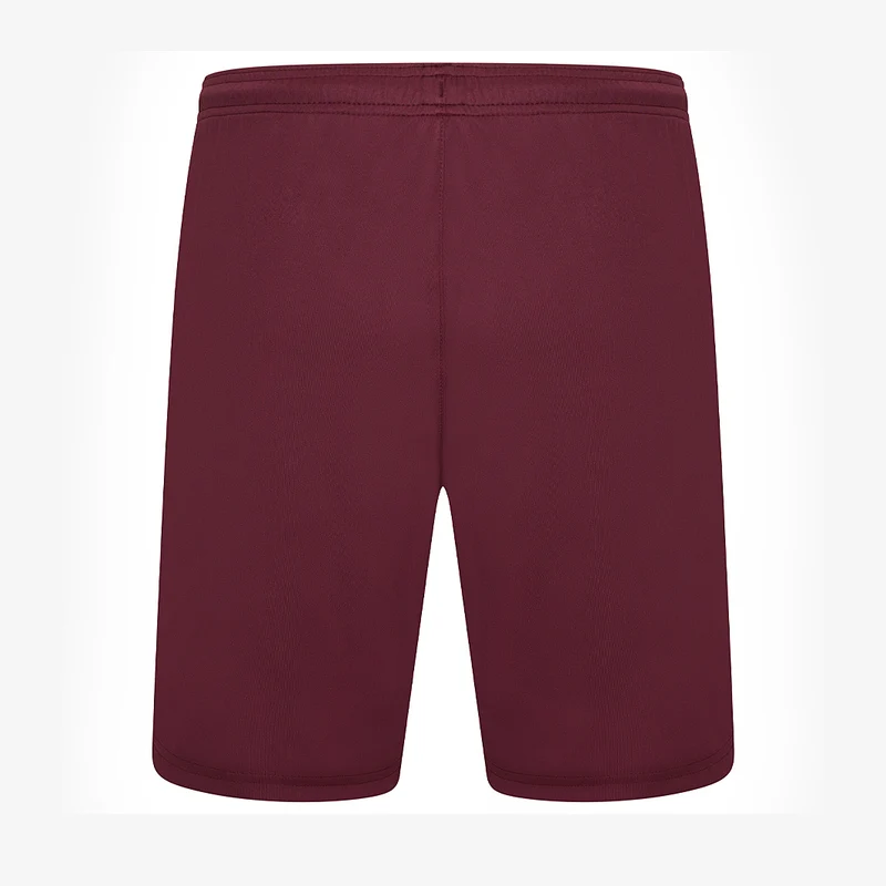 Short Puma Team Liga