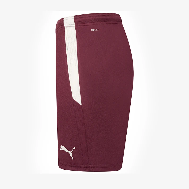Short Puma Team Liga